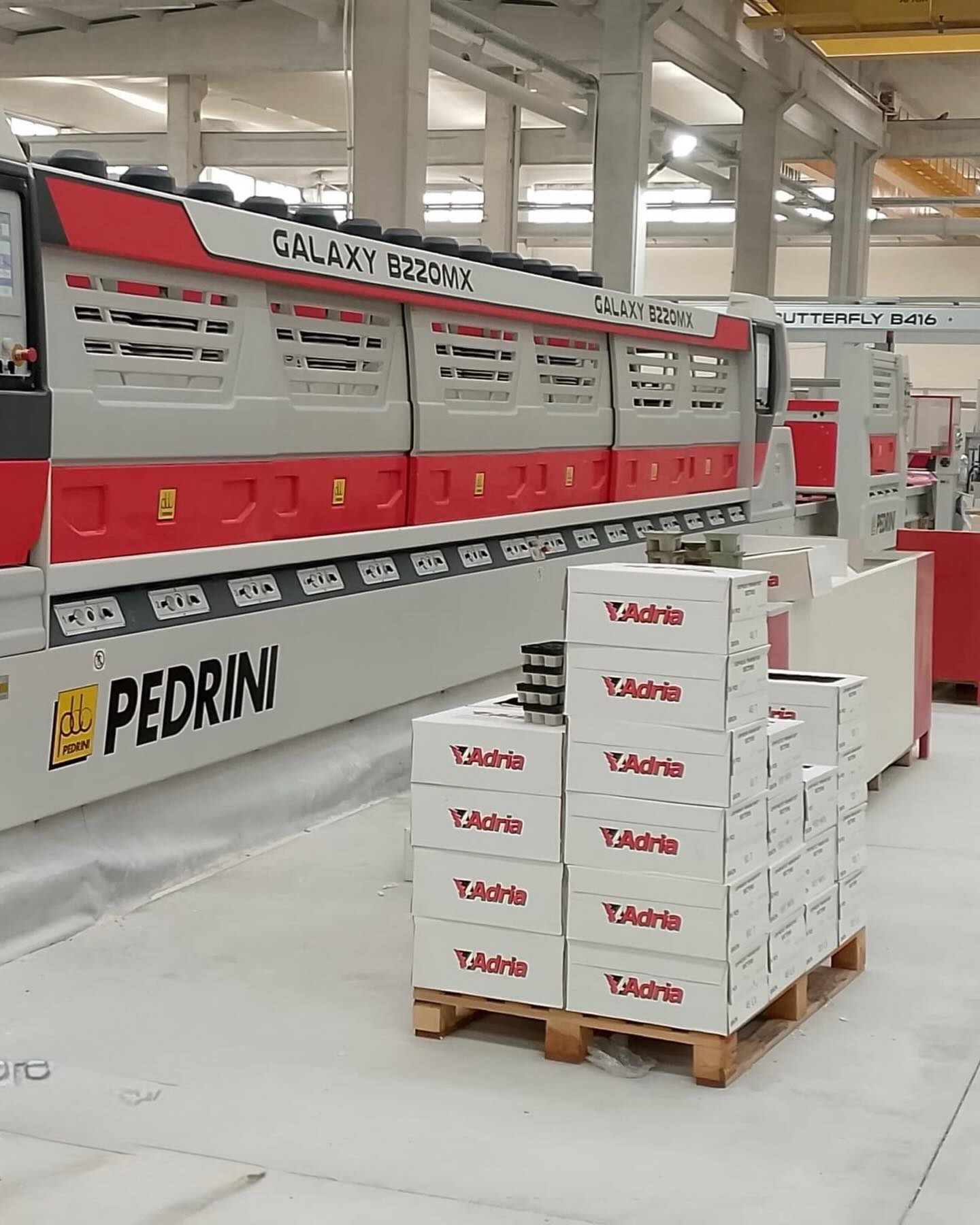 Pedrini doğal taş işleme makinesi